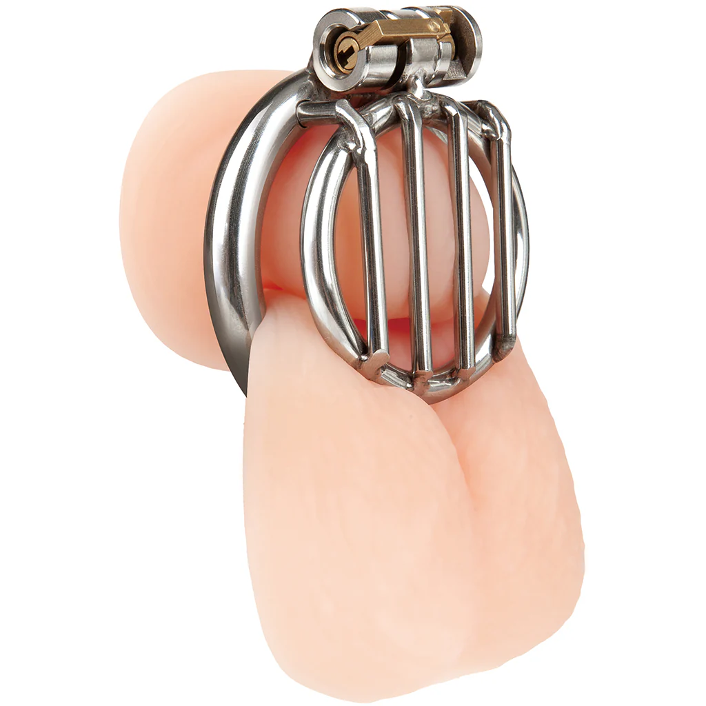 Blueline Stainless Steel Inverted Micro Jail Time Cock Cage - Image 2