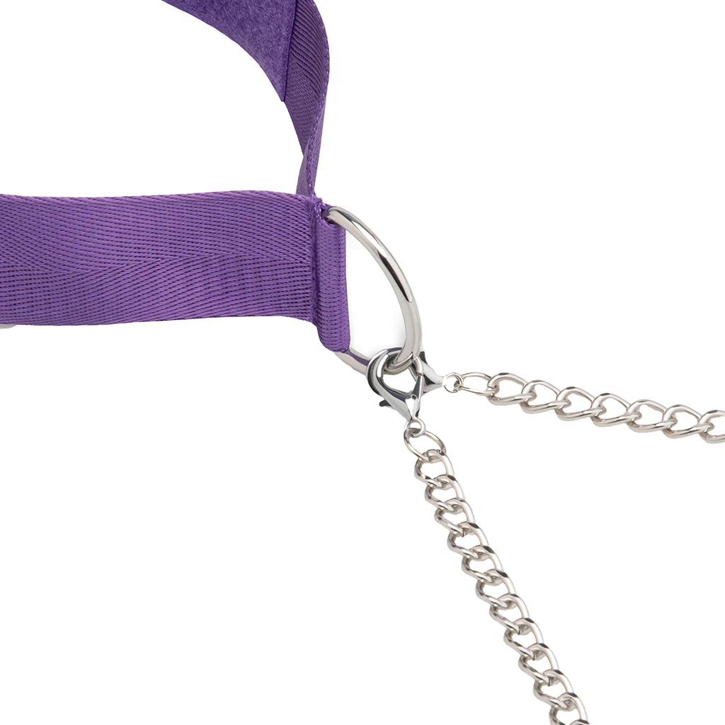 Collar & Nipple Clamp Set in Purple - Image 6