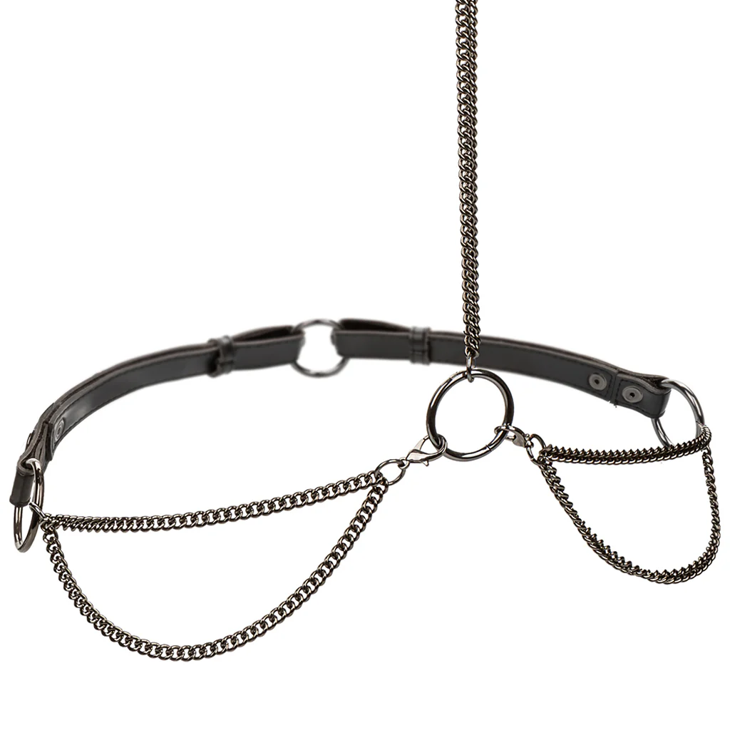 Euphoria Chain Collar & Leash - Image 5