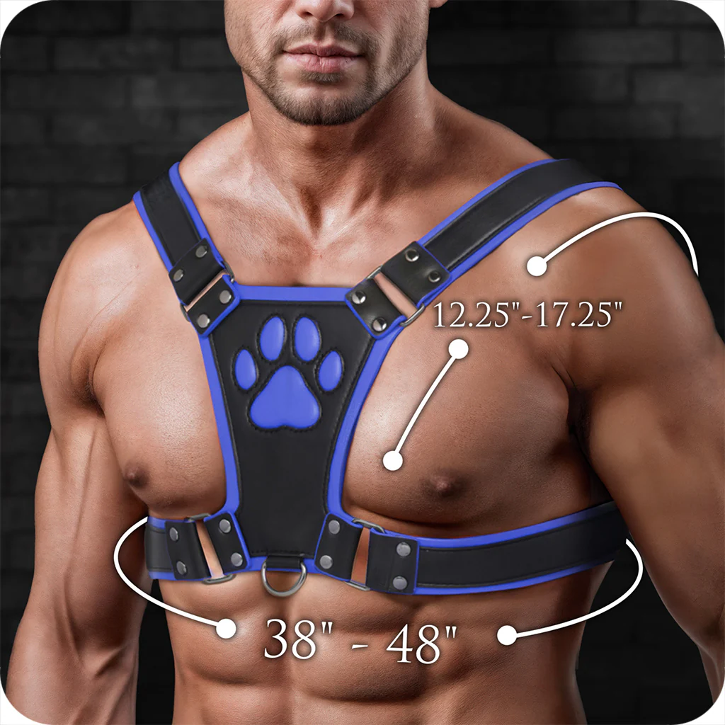 Master Series Alpha Pup Bulldog Harness in Blue - Image 8