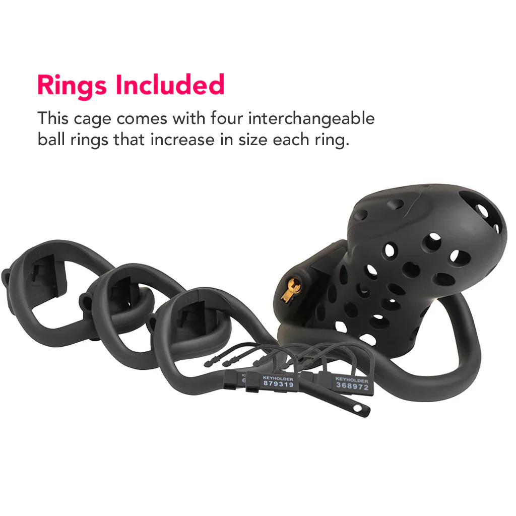 Master Series Lockdown Chastity Cage - Image 3