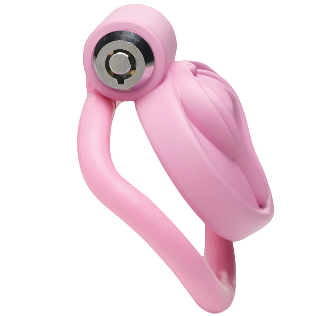 Master Series Pussification Vulva Chastity Cage - Image 4
