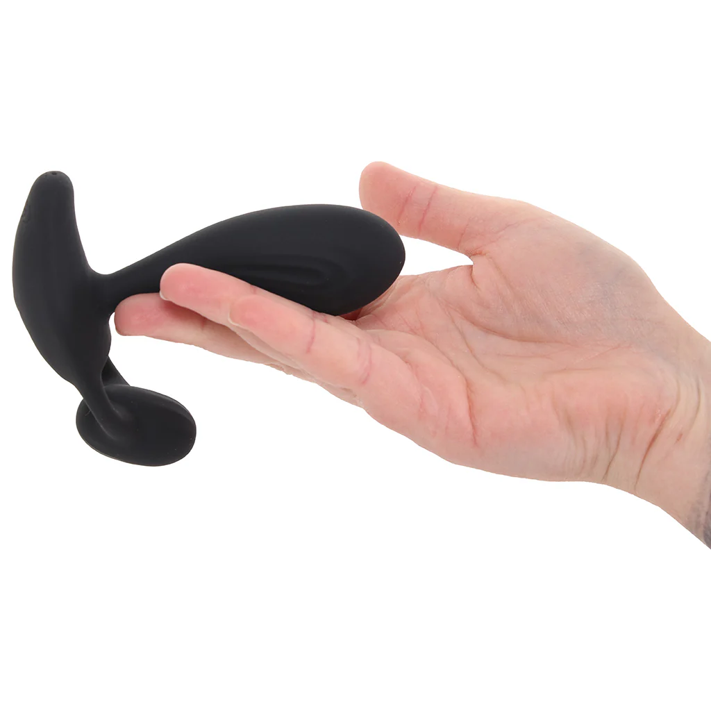 Renegade Echo Prostate Vibe - Image 4