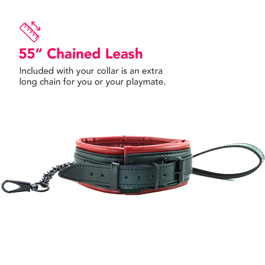 Saffron Leash & Collar - Image 5