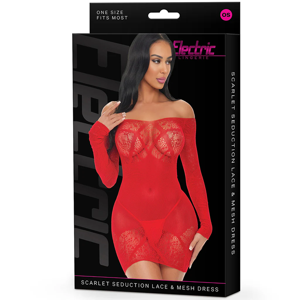 Scarlet Seduction Lace & Mesh Dress - Image 6