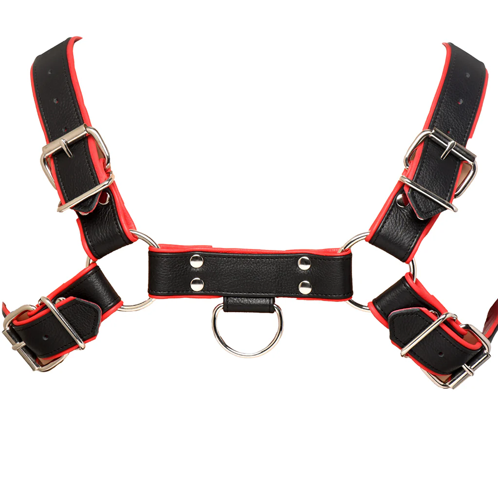 Strict Leather English Bulldog Harness - Image 6