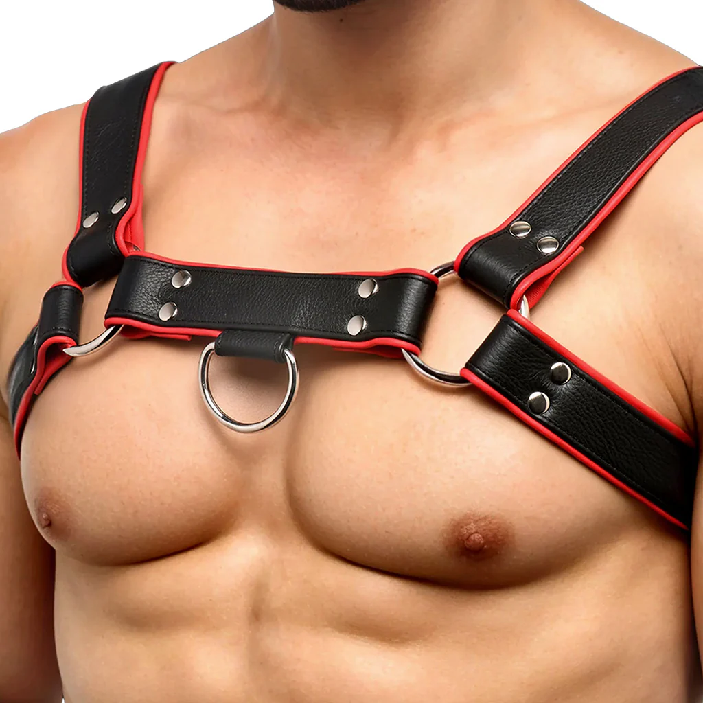 Strict Leather English Bulldog Harness - Image 7