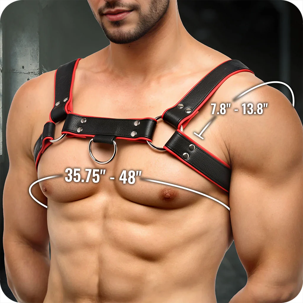 Strict Leather English Bulldog Harness - Image 8