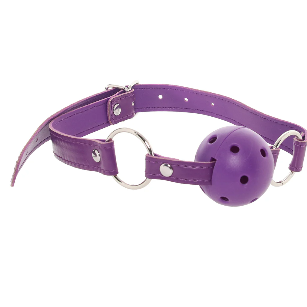 Whipsmart 12 Piece Everything You Need Bondage Kit - Image 5